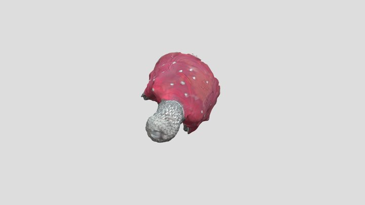 Fotogrametria objeto - Morena Ojeda 3D Model