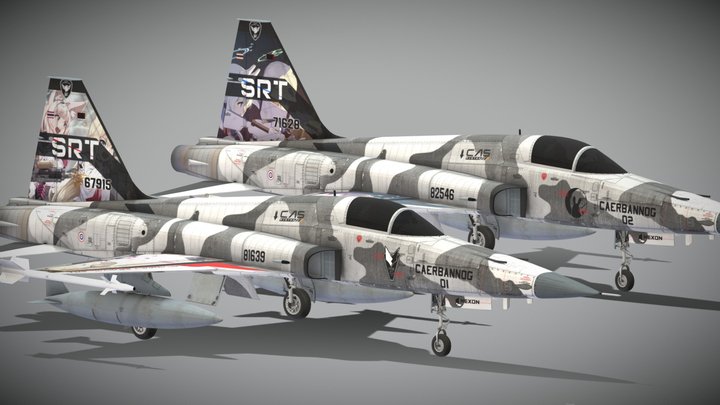 F-5E Tiger II | SRT 3D Model