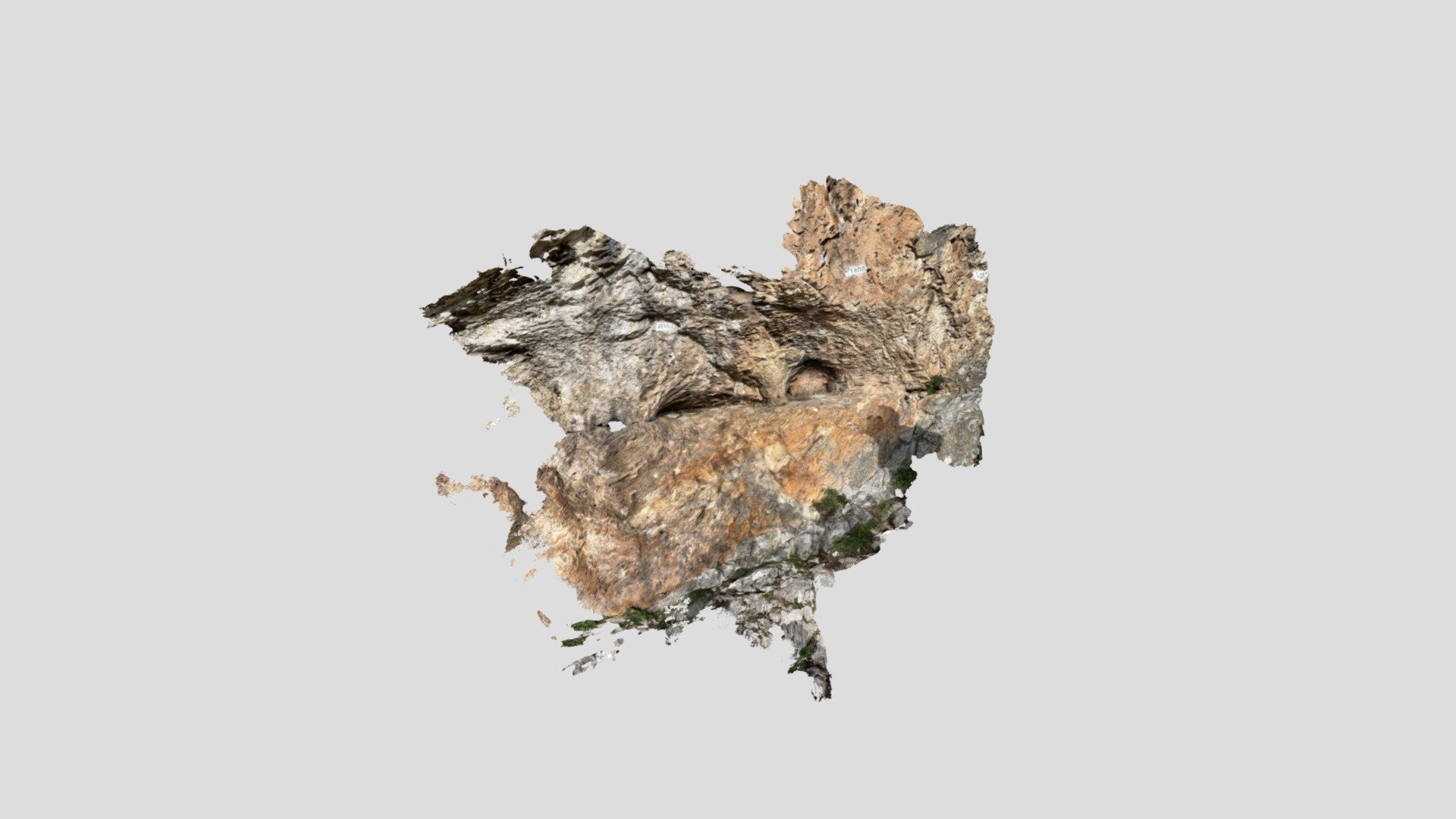 Bedding-parallel shear