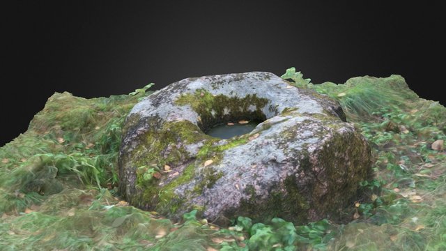 Viļķene Stone with bowl-shaped hollow 3D Model