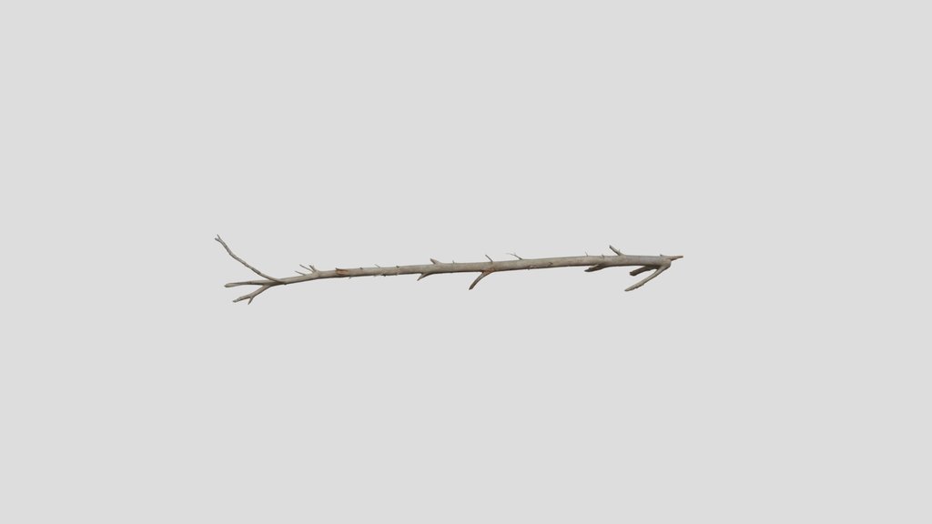 Pine Tree Fallen Trunk Pbr Scan