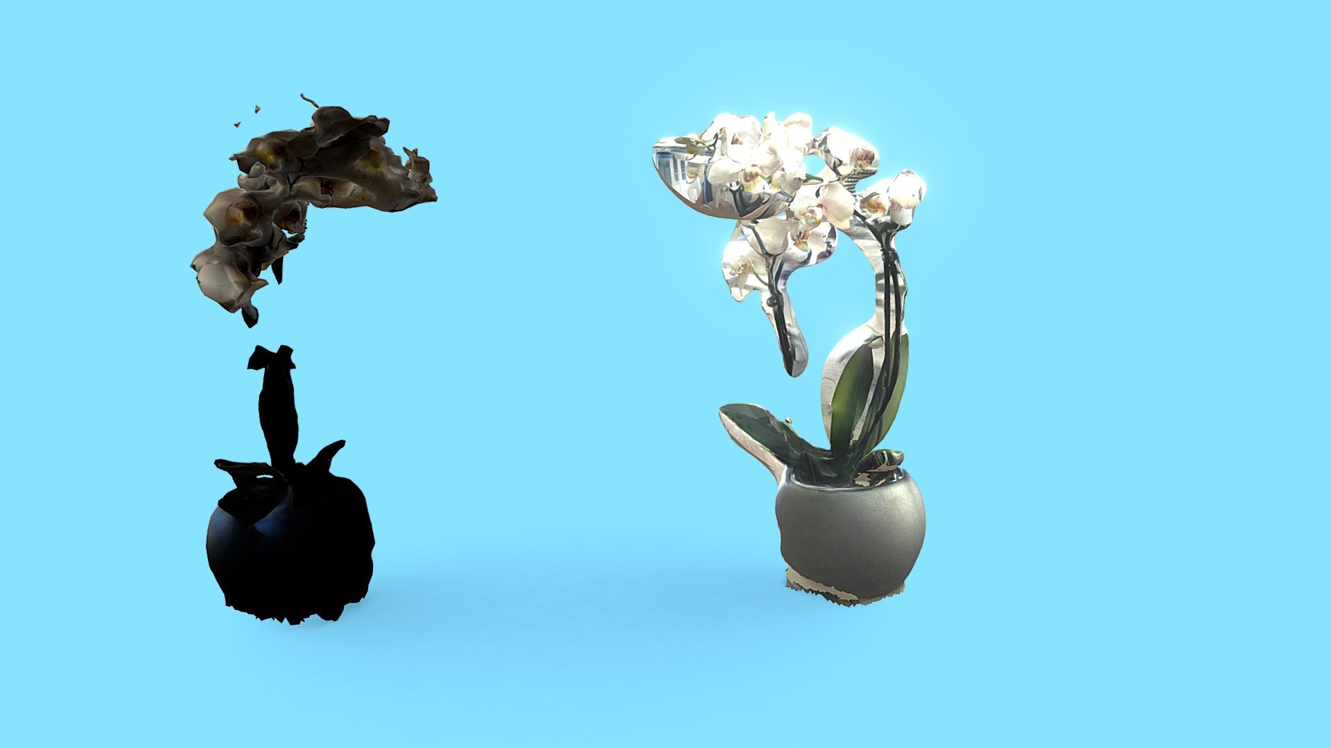 Orquideas Scans