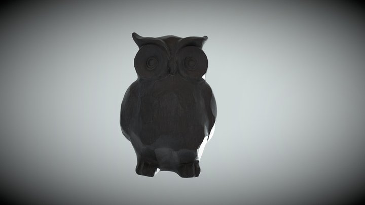 Owl_Birds Project 3D Model