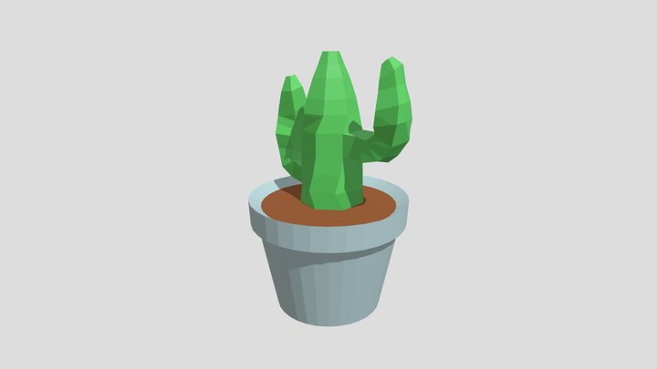 Cactus Low Poly 3D Model
