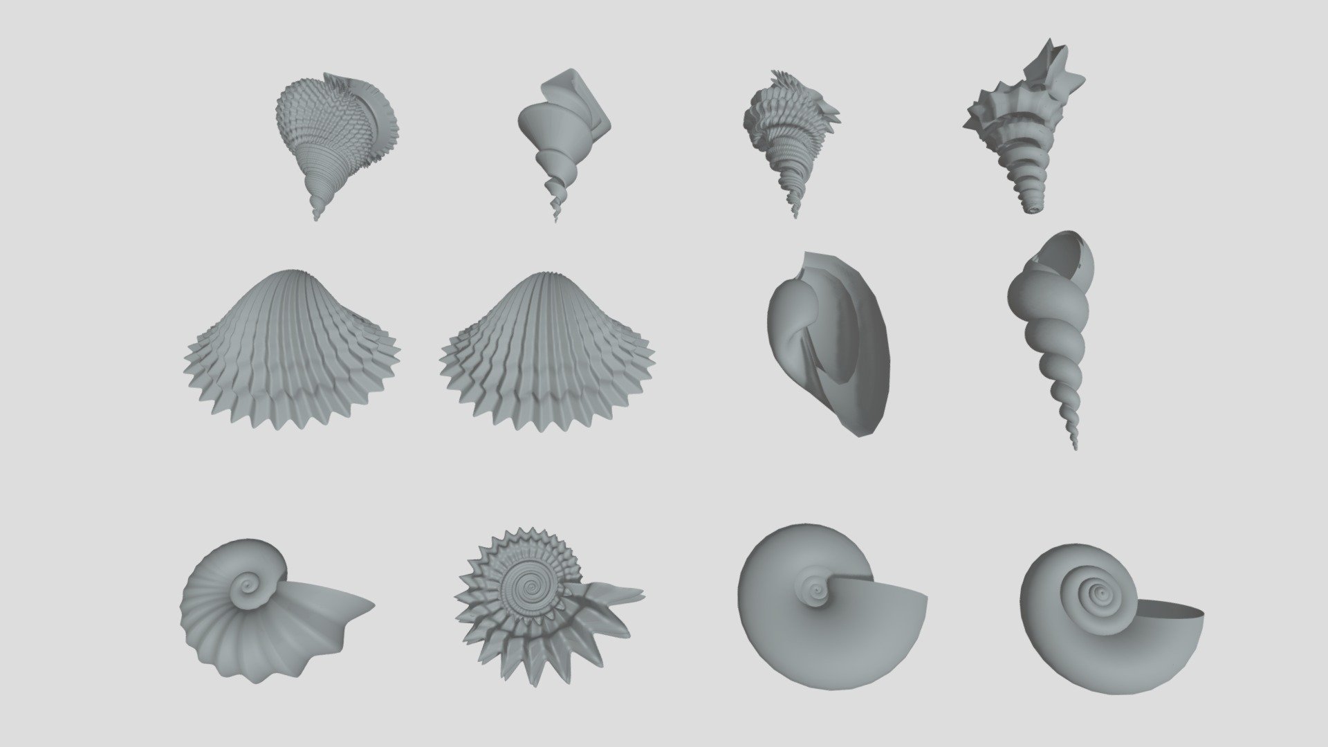Helico-Spiral Shell Examples by Denki Gaka - 3D model by DenkiGaka  (@DenkiGaka) [37d3f3e]