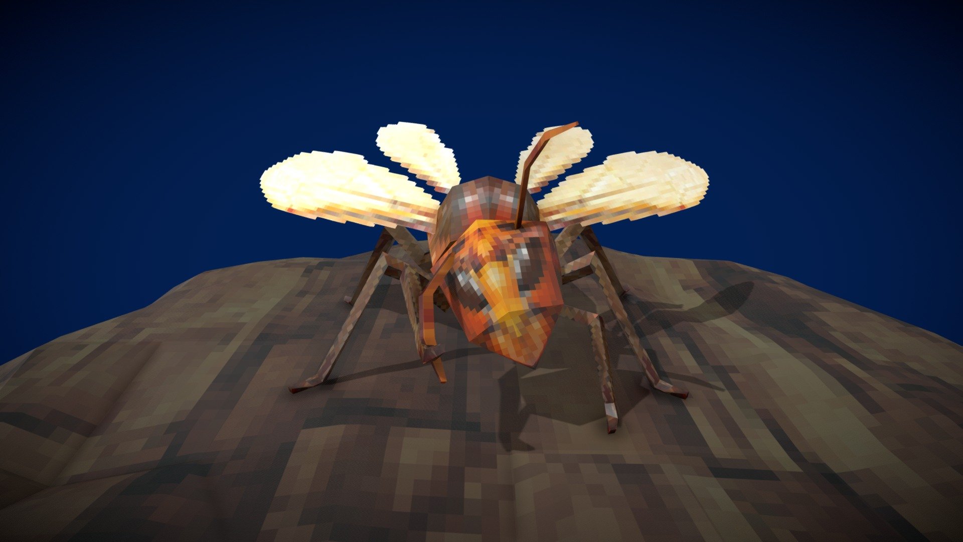 Anatomy of a honey bee - 3D model by _Explore_ ...