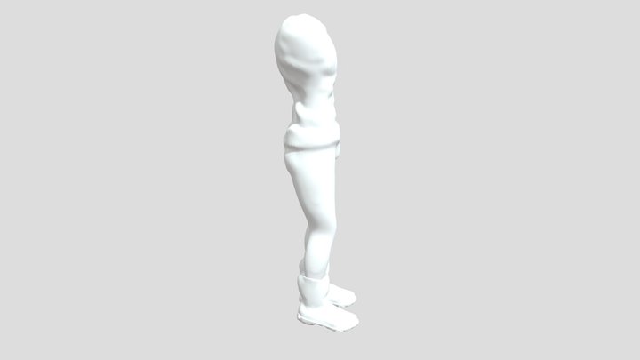 Human torso