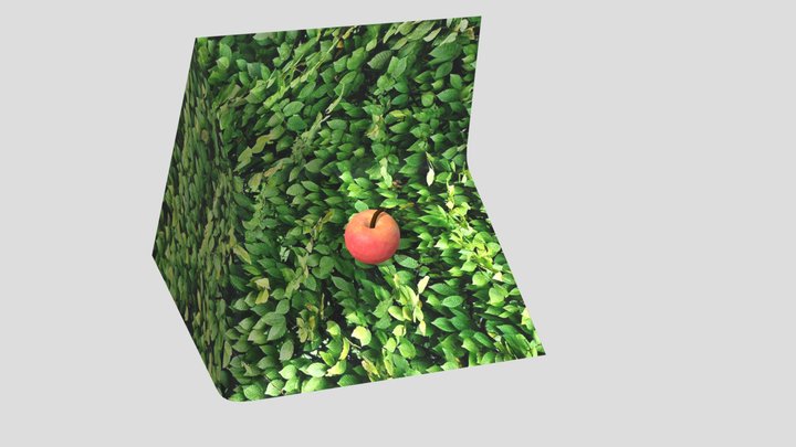 Красное яблоко 3D Model