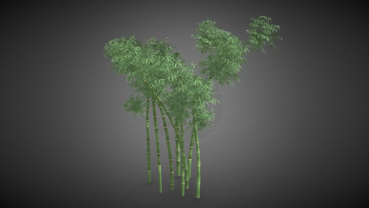 Bamboo tree 3D Model