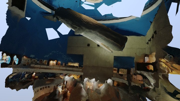 KUJIRA-TO-UMI-NO-KAGAKUKAN 3D Model