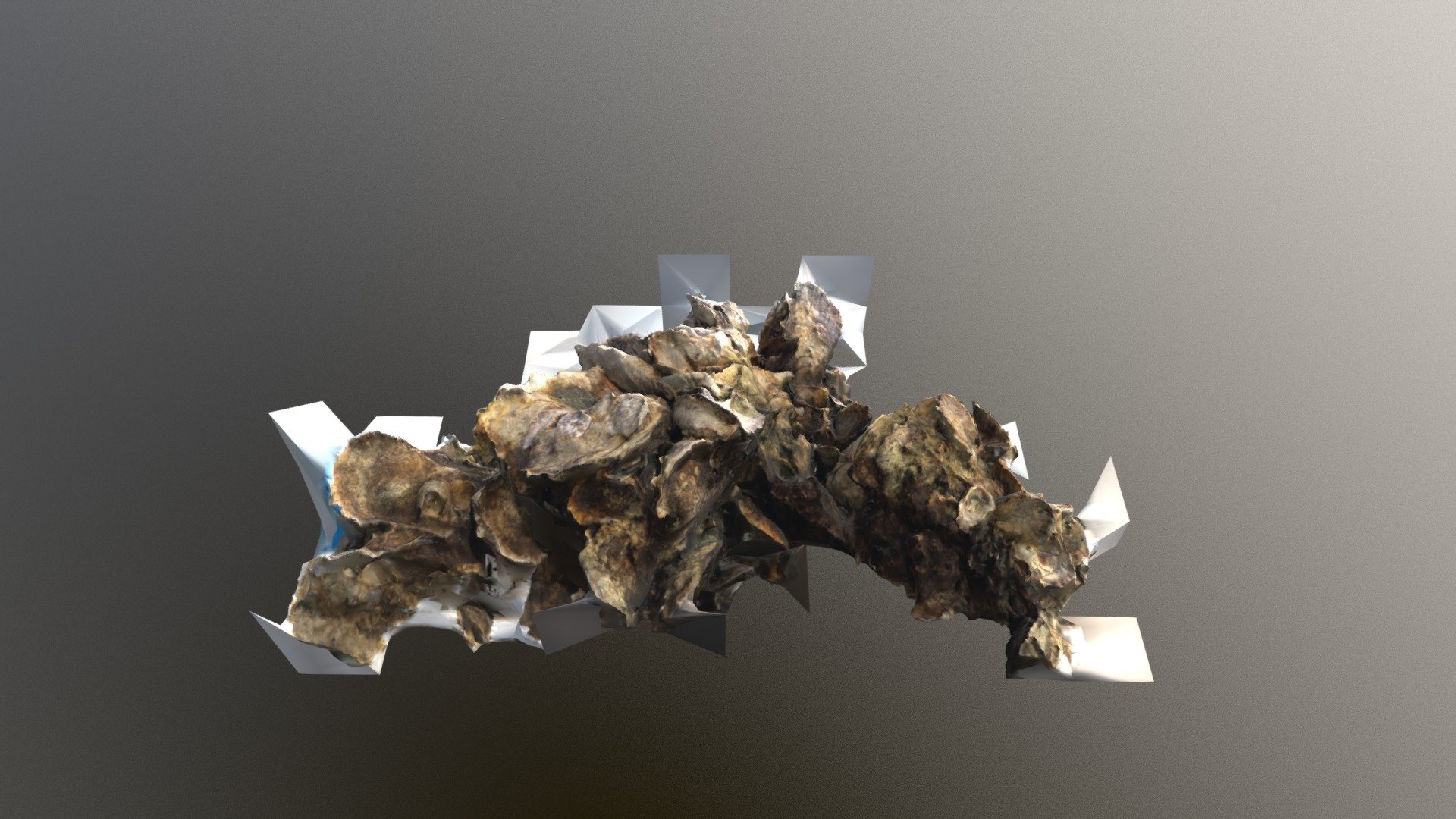 Oyster reef