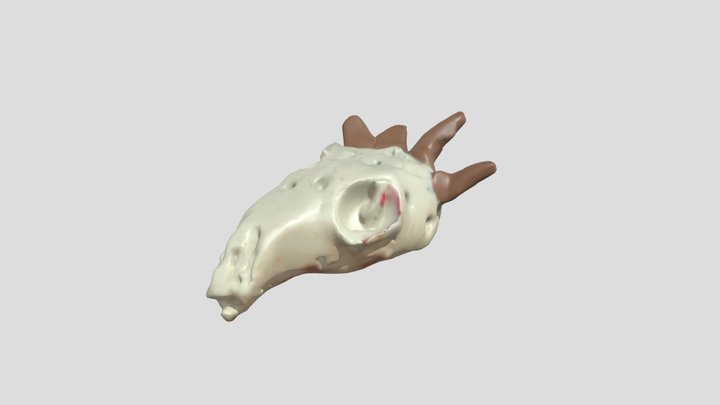 quadrex colour – Kostenloses 3D-Modell STL