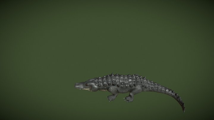 Alligator 3D Model