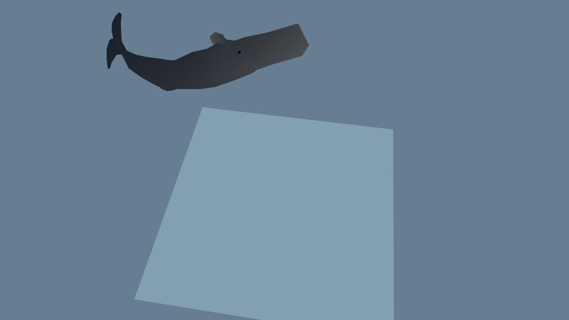 Sperm Whale - animated - marine mammals series