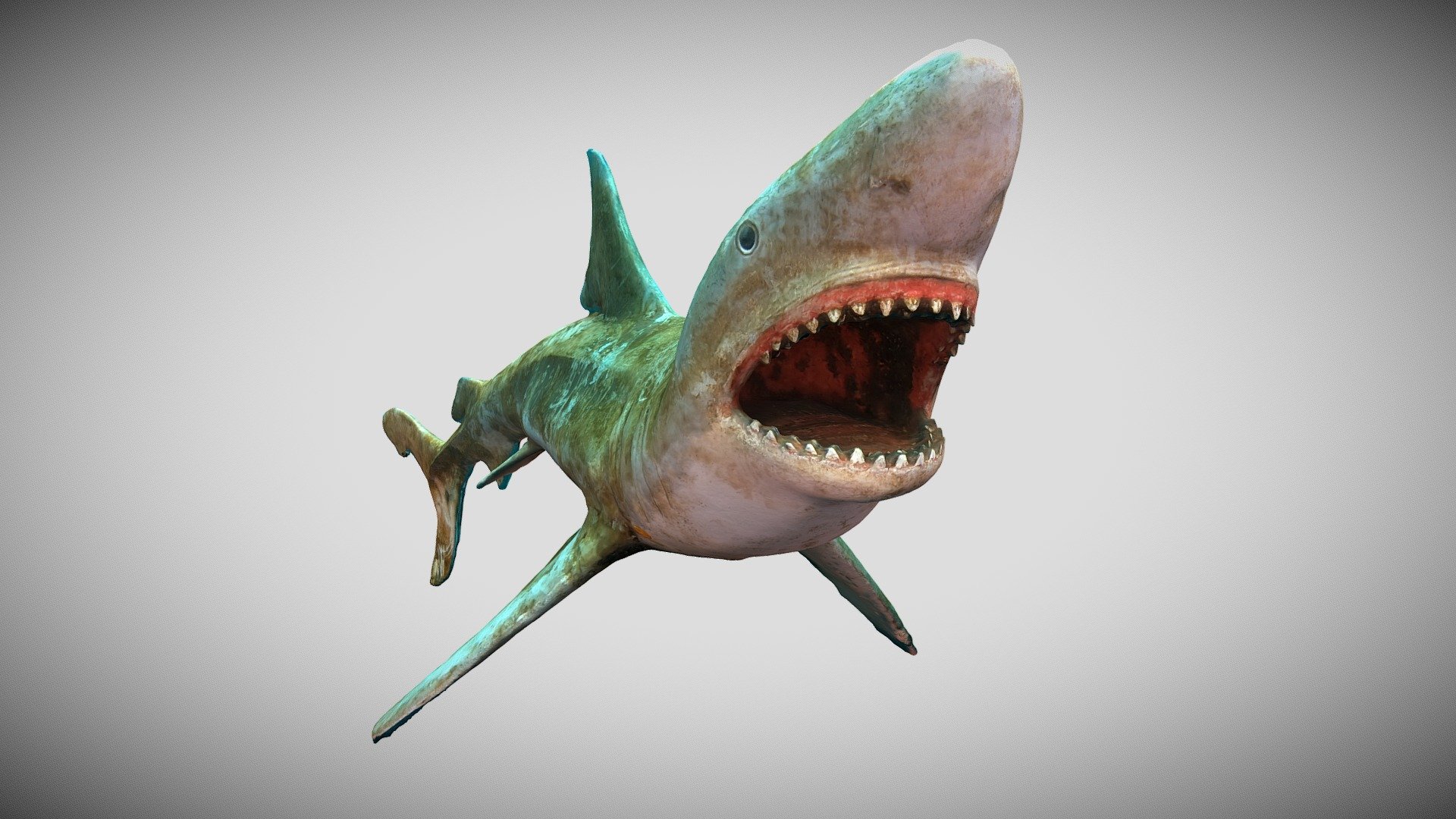The shark of Hemmoor — Sketchfab embed 3D viewer