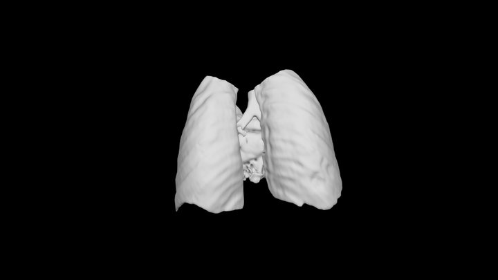 Heart and Lungs 3D Model