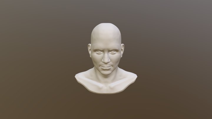 Head Sisto 08 3D Model