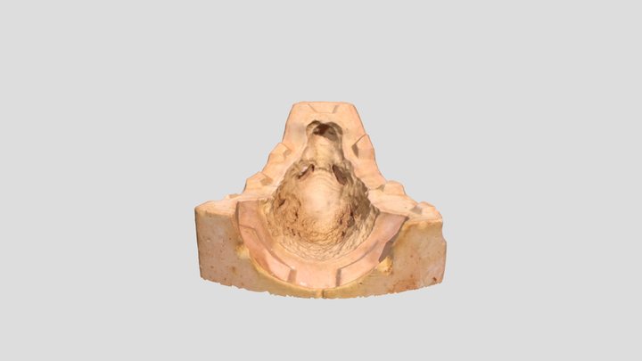 Badger Head Casting Mould 3D Model