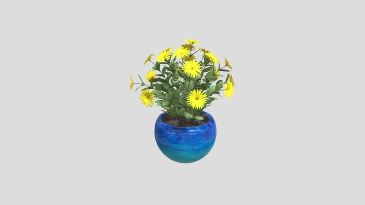 Yellow Daisy