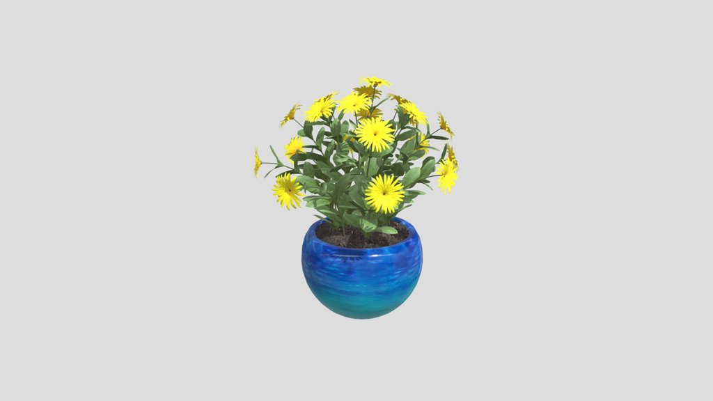 Yellow Daisy
