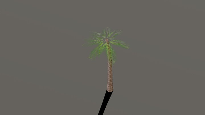 palm_tree_gltf 3D Model