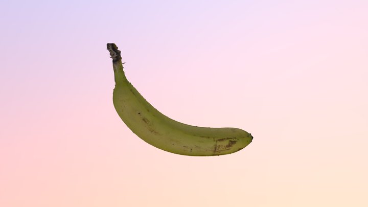 banana for scale test version no yet cleaned up 3D Model