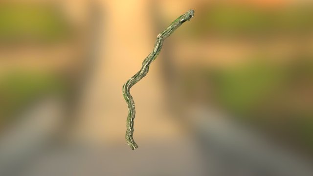 Rio gallego corridor mapping 3D Model