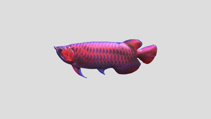 Arwana-1 3D Model