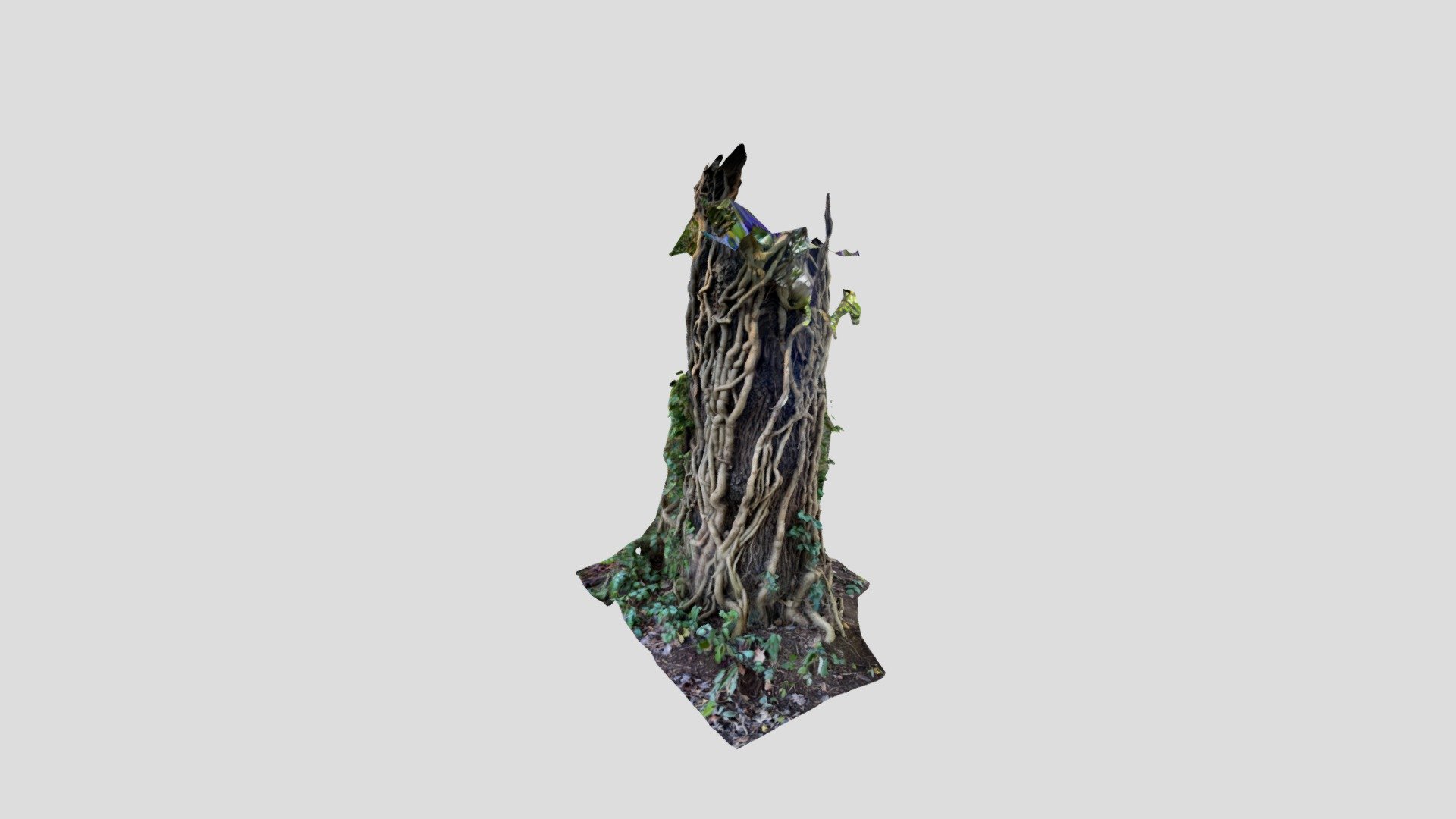 Tentacular vine growth scan