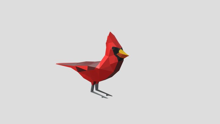 Low Poly Cardinal (Male) 3D Model