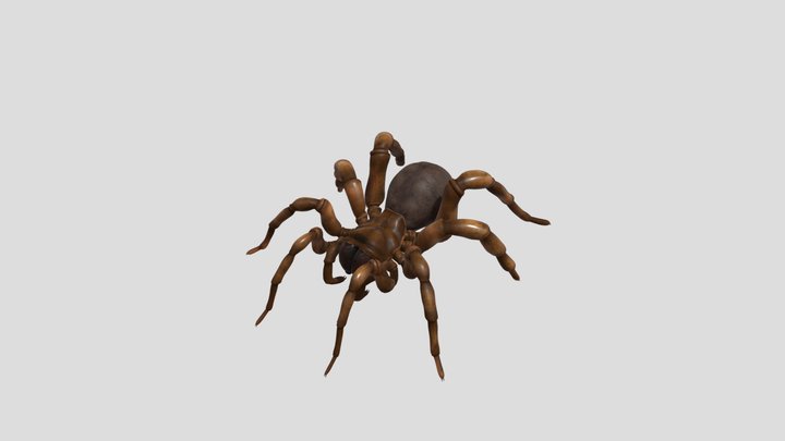 Spider 3D Model