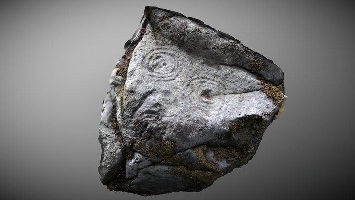 Castleton 5b - Cup and Ring Marked Rock – Free 3D Model STL