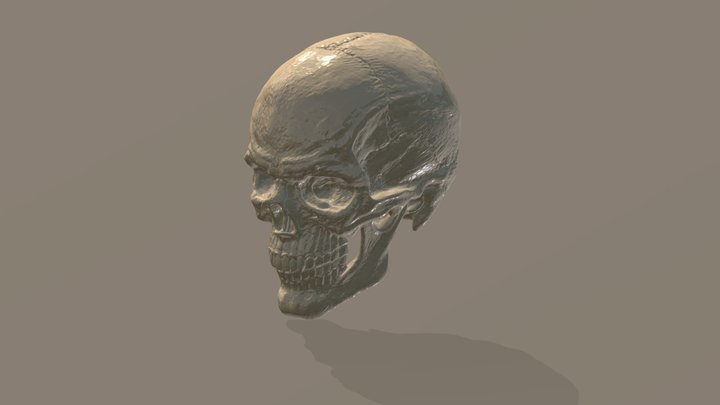 Low poly Skull 3D Model