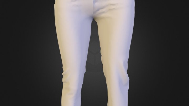 pants 3D Model