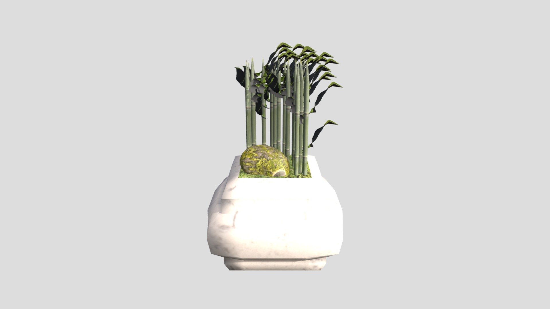 Wk9_Bamboo_Pot_park1388