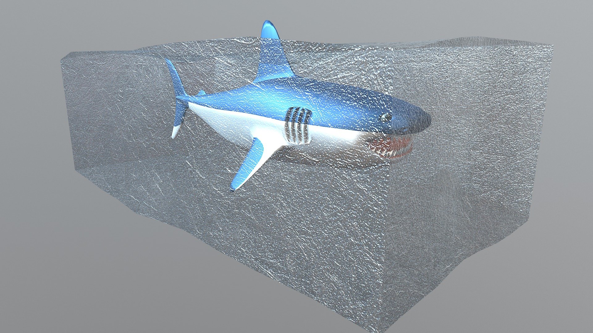 Shark In The Ice Köpek Balığı Buzda Download Free 3D model by