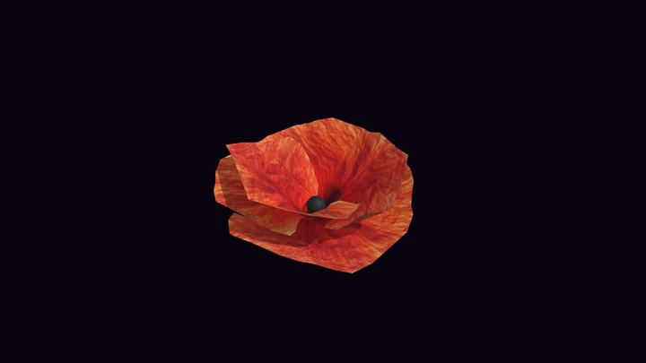 Poppy Flower 3D Model