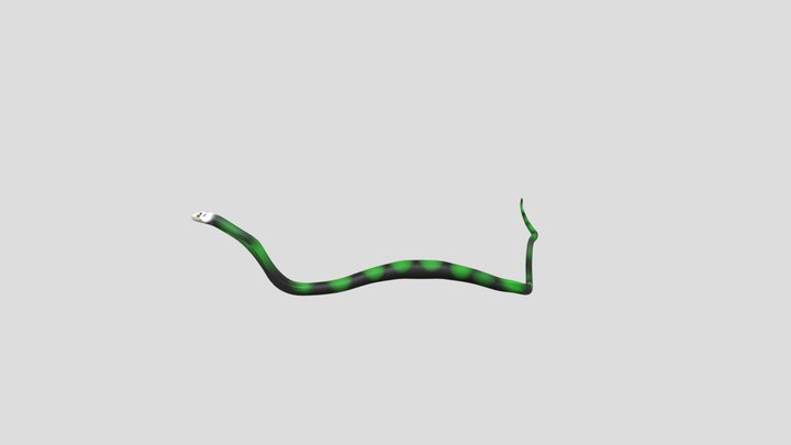 Koaa 3D Model