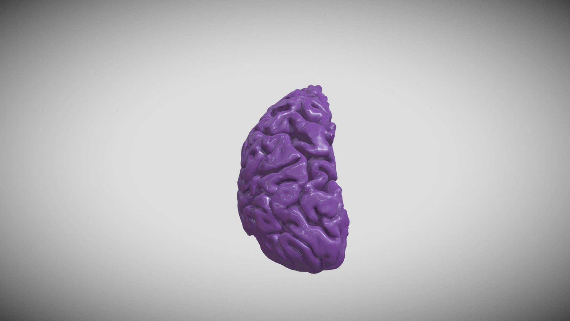 Brain Half