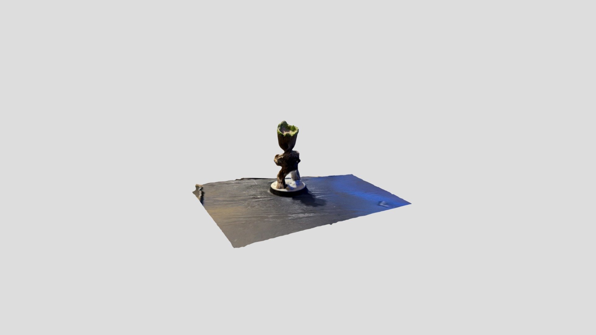 Polycam capture