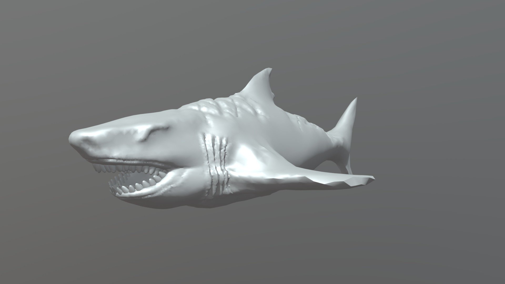 Shark - Download Free 3D Model By Nicholas Augusto Cordeiro Carvalho ...