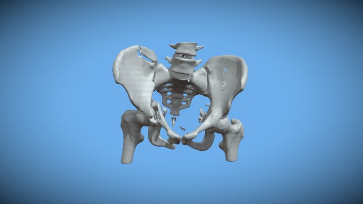 Frank_decimated_c3 3D Model