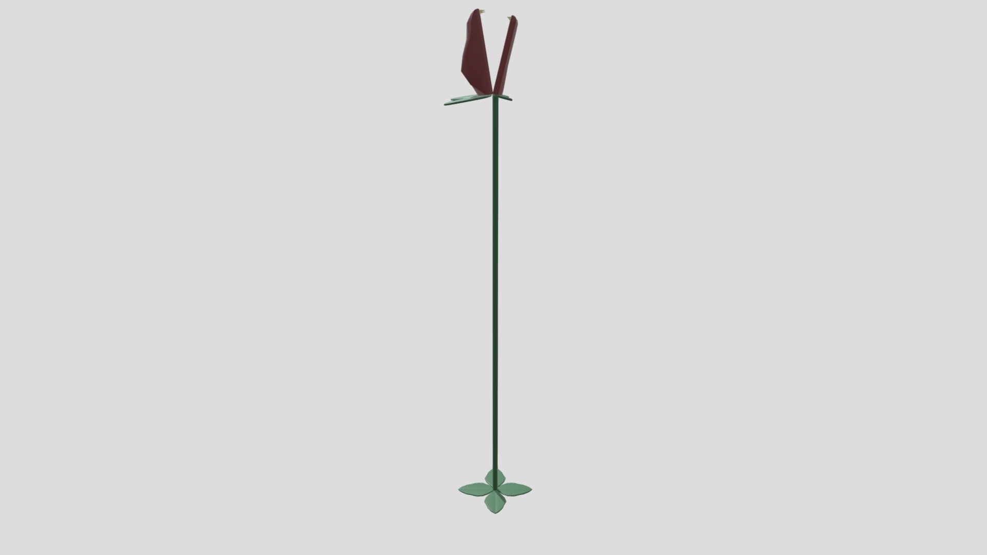 plant