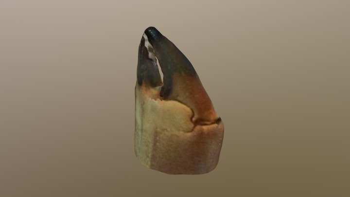 New Qlone 1 3D Model