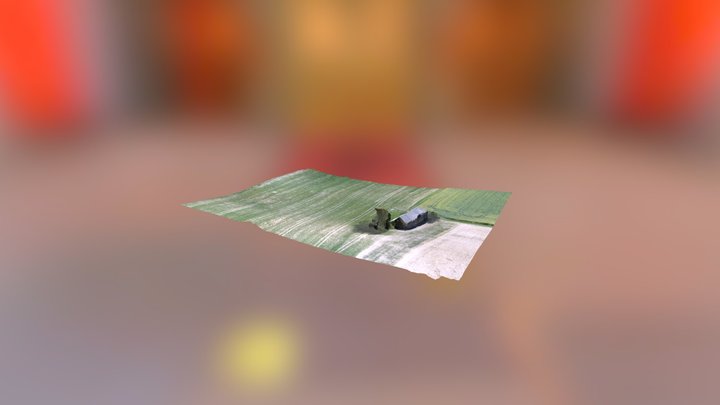 MNT basse résolution 3D Model