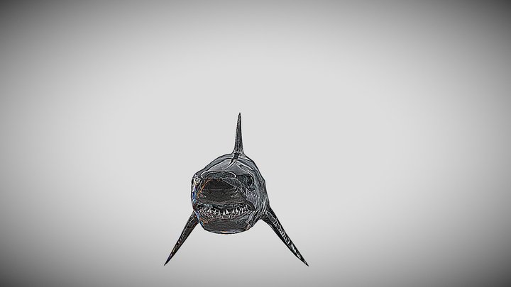SHARK – Modèle 3D gratuit STL