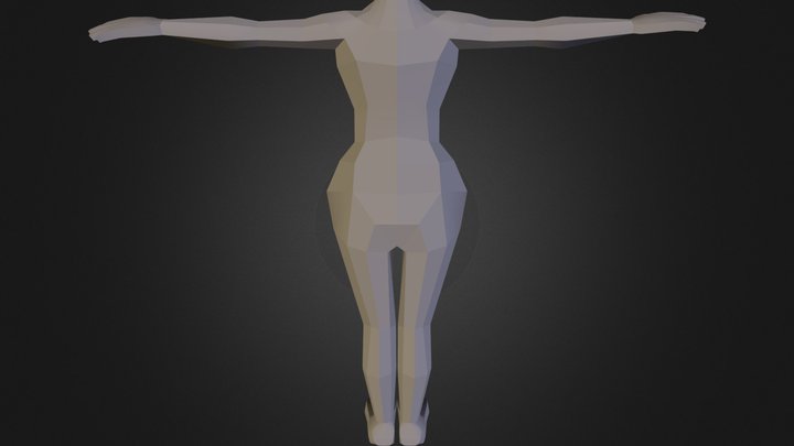 W4 Body With Hands 3D Model