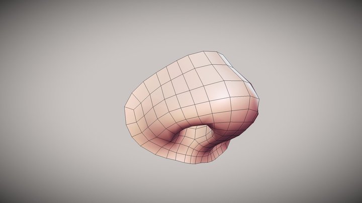 Nose 3D Model