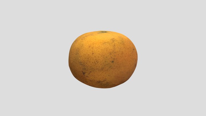 C05_Cream_WK_2B_Small 3D Model