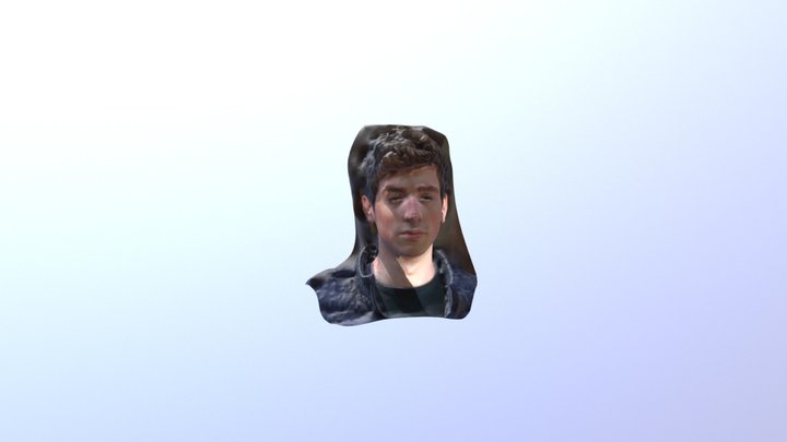 Face 3D Model